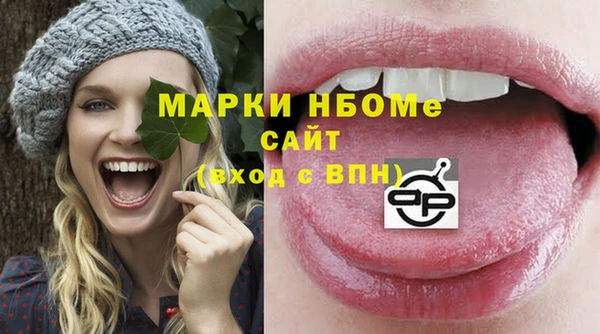стаф Краснослободск