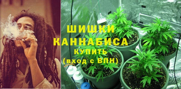 стаф Краснослободск