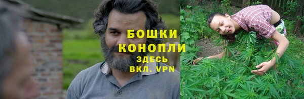 стаф Краснослободск