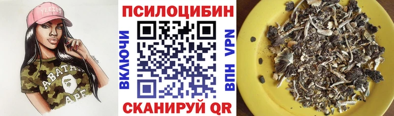 Купить где  Можга  Галлюциногенные грибы мицелий 